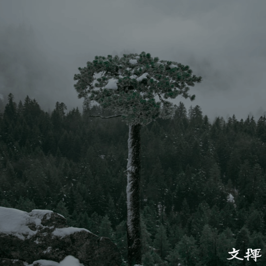 비즈니스 자립력