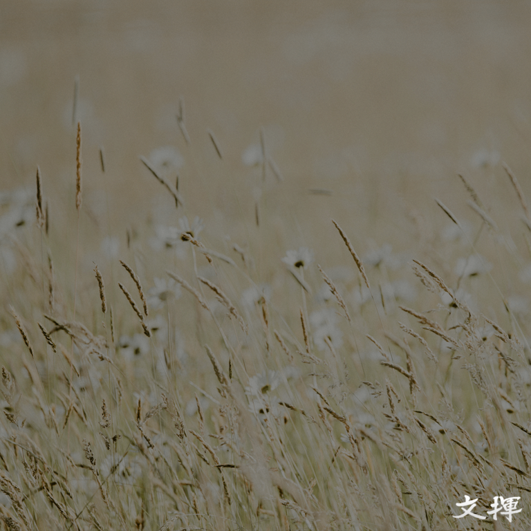 세무사 블로그 | 글쓰기에 대한 막막함